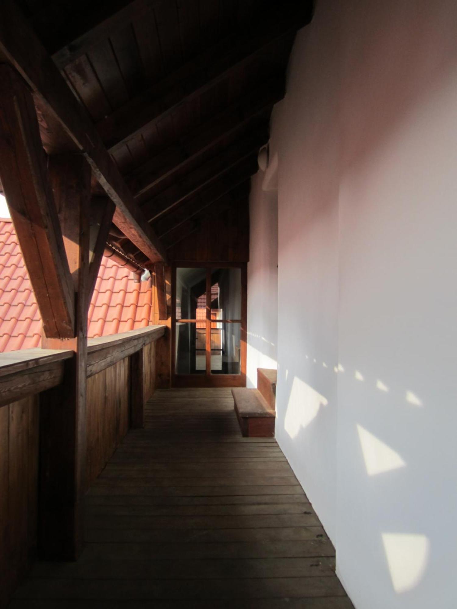 Holubnik Statecnych Zen Kralovych Luže