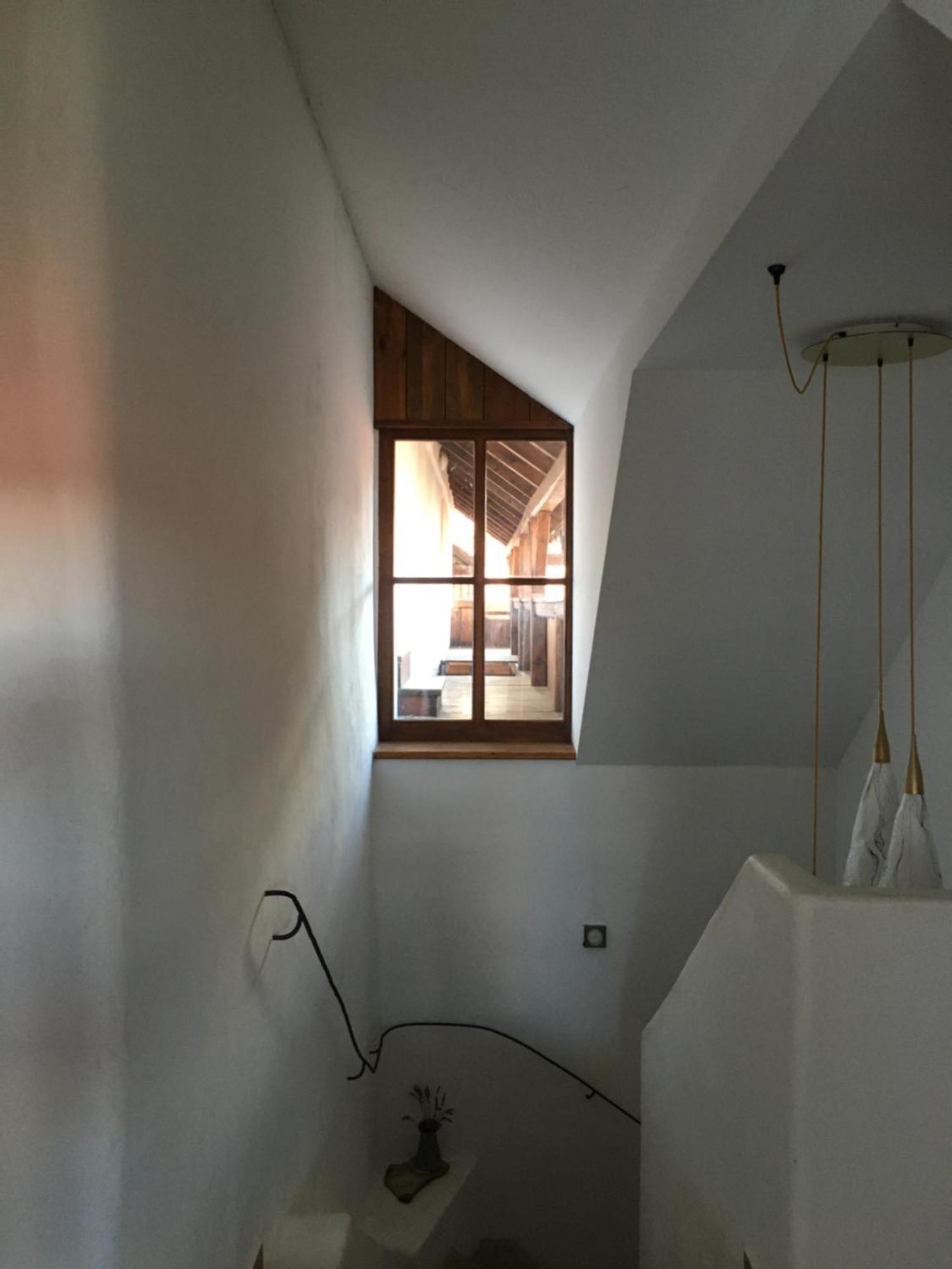 Holubnik Statecnych Zen Kralovych Apartment
